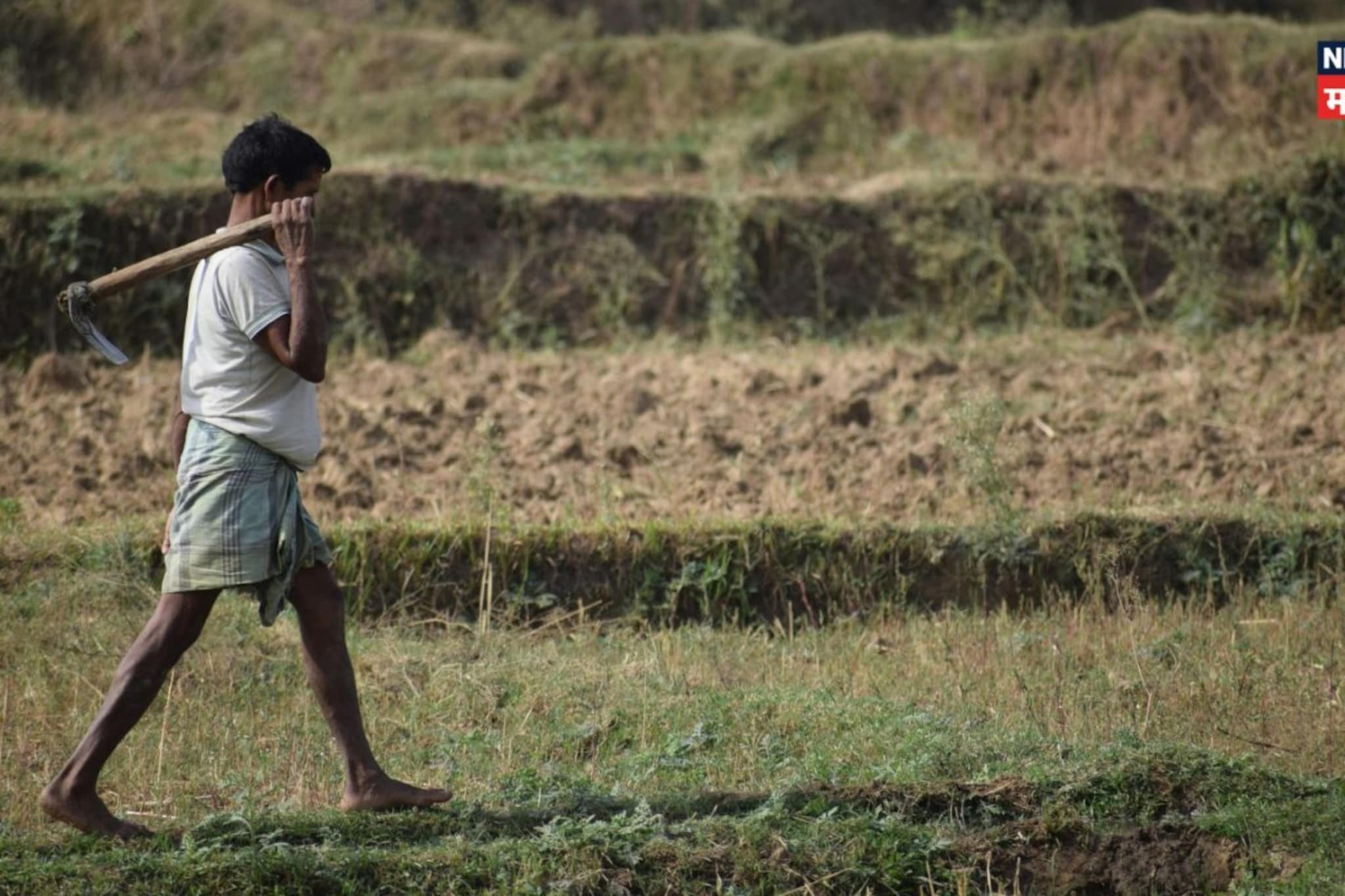 यंदा मान्सूनवर अल निनोचं सावट; कधी येणार मान्सून कसा राहणार पाऊस? स्कायमेटचा पहिला अंदाज