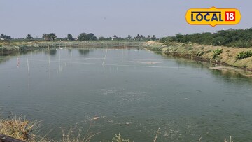 मत्स्यपालन व्यवसाय भारी, कमाई होते दुप्पट, पाटलांचा सक्सेस फॅार्म्युला!