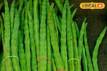 APMC Market : शेवगा तर तेजीतच, आल्याला आणि लिंबाला काय मिळाला भाव? इथं चेक करा