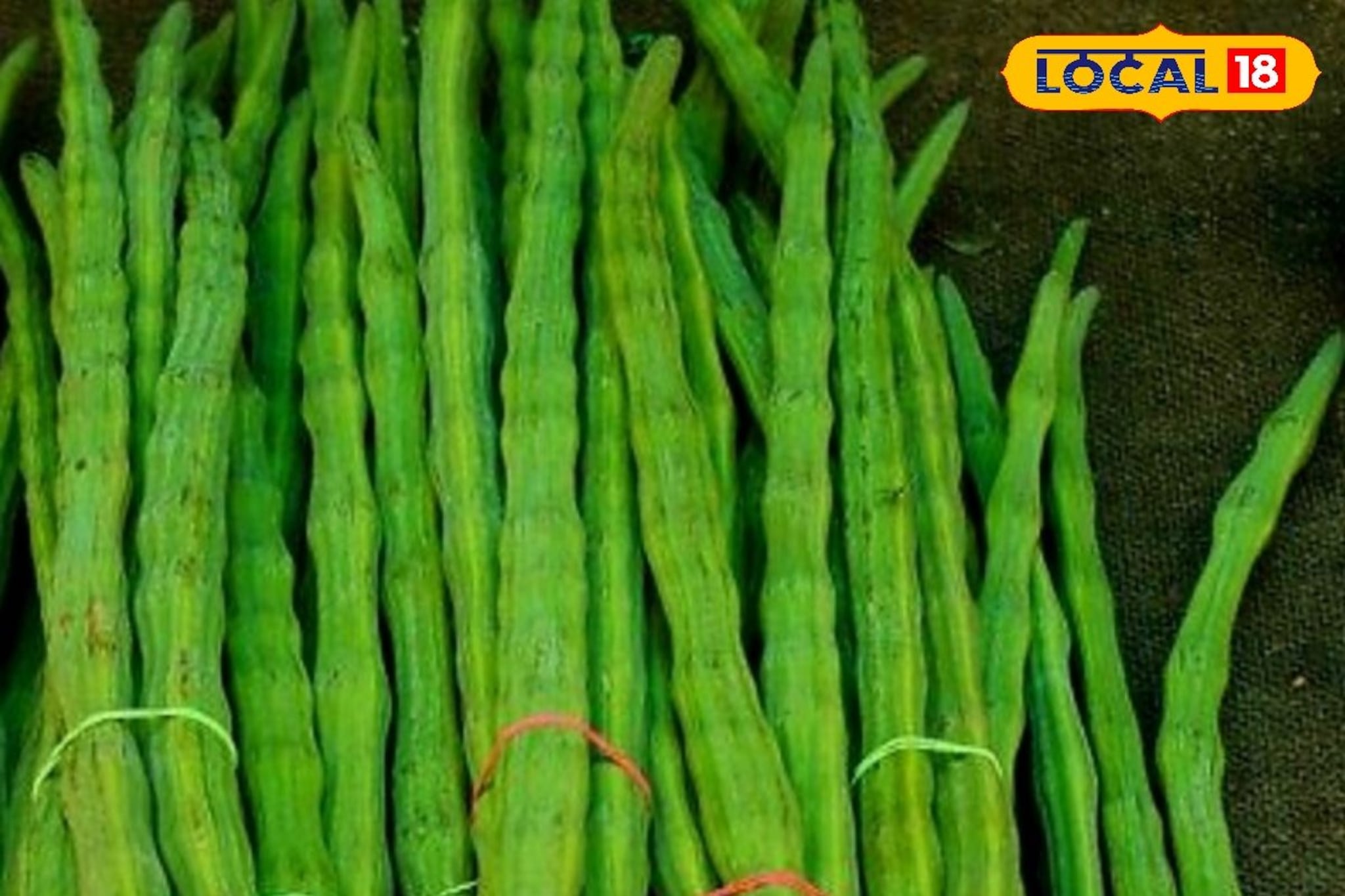 शेवगा तर तेजीतच, आल्याला आणि लिंबाला काय मिळाला भाव? इथं चेक करा शेवगा तर तेजीतच, आल्याला आणि लिंबाला काय मिळाला भाव? इथं चेक करा