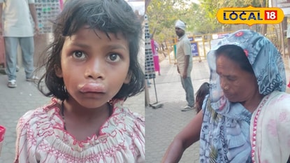 ‎अजिंठा लेणीत मधमाशांचा अचानक हल्ला; 30-35 पर्यटक जखमी, जबलपूरच्या चिमुकलीची प्र