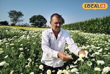 Success Story : 4 वर्षांपूर्वी घेतला निर्णय, बिजली फुल शेतीमधून शेतकऱ्याचं नशीब पालटलं, लाखात कमाई