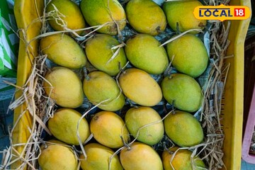 Mango Rate: गुढीपाडव्याला ‘हापूस’ महागला; आंबा बाजारात तेजी, एका डझनाचे दर किती?