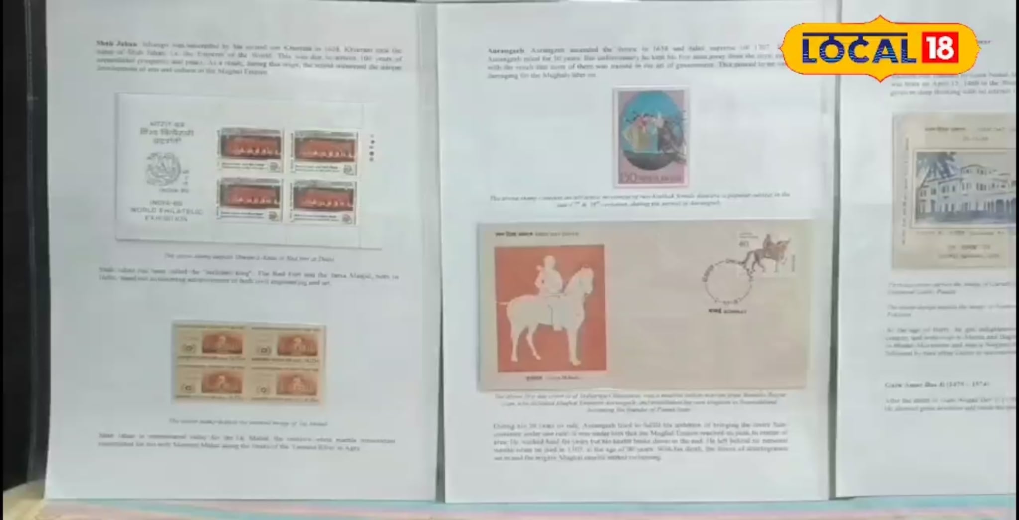 छंद असावा तर असा, तब्बल 10 हजार दुर्मिळ टपाल तिकिटाचा केला संग्रह, काय आहे खास? Video 