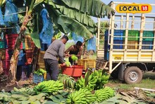 APMC Market: युद्धाचा फटका केळी उत्पादक शेतकऱ्यांना, फक्त दीड रुपये किलोने खरेदी, द्राक्ष अन् कांद्याला काय मिळतोय भाव?