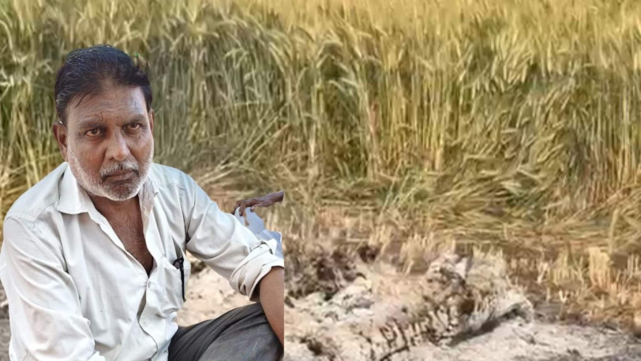 ज्या मातीत घाम गाळून पिकवलं, त्याच मातीत स्वतःला जाळून घेतलं; हिंगोलीत शेतकऱ्याचा करुण अंत