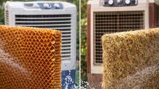 मनी न्यूज 