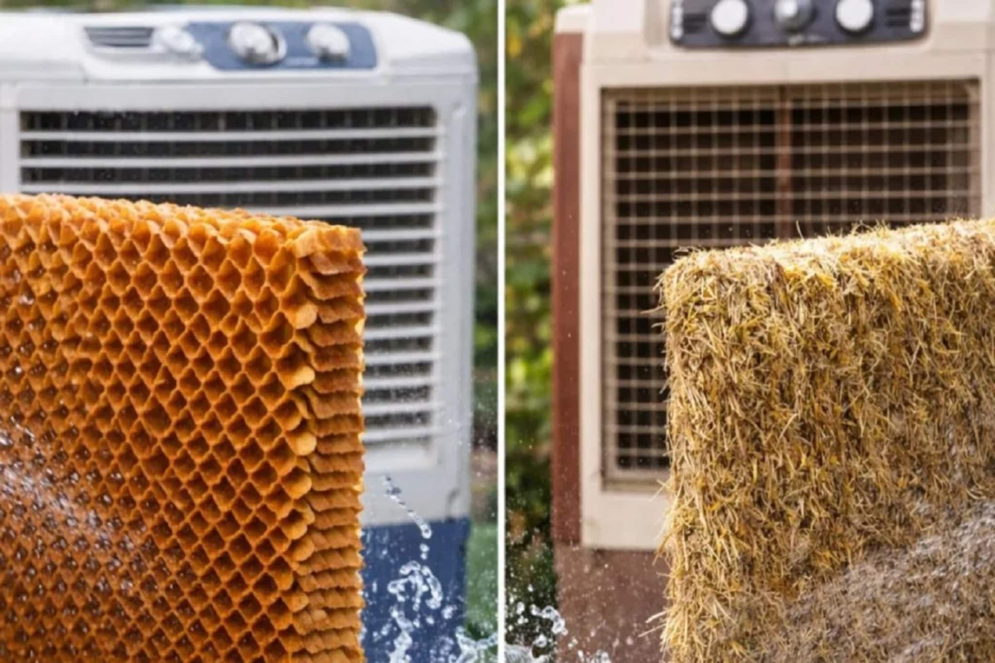 Honeycomb Vs Grass: कूलरसाठी कोणता कूलिंग पॅड बेस्ट? घरात जास्त गार हवा कोण देतं? पाहाच 