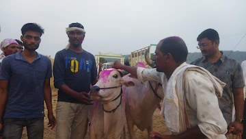 मैदानाचा 'बादशाह' अन् घराचा 'लेक' गेला, मालकानं केलं असं काही, अख्खं गाव हळहळलं मैदानाचा 'बादशाह' अन् घराचा 'लेक' गेला, मालकानं केलं असं काही, अख्खं गाव हळहळलं