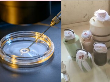 3 कंटेनर अन् 45 जणांचे स्पर्म, मुंबईजवळ सुरू होतं 'विक्की डोनर 2.0' चा गुपचूप खेळ, दिल्ली-रांची कनेक्शन उघड