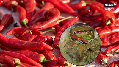 No Veggies? Try Khood Mirchi's Pani: A Spicy, Quick Dish with Bhakri!