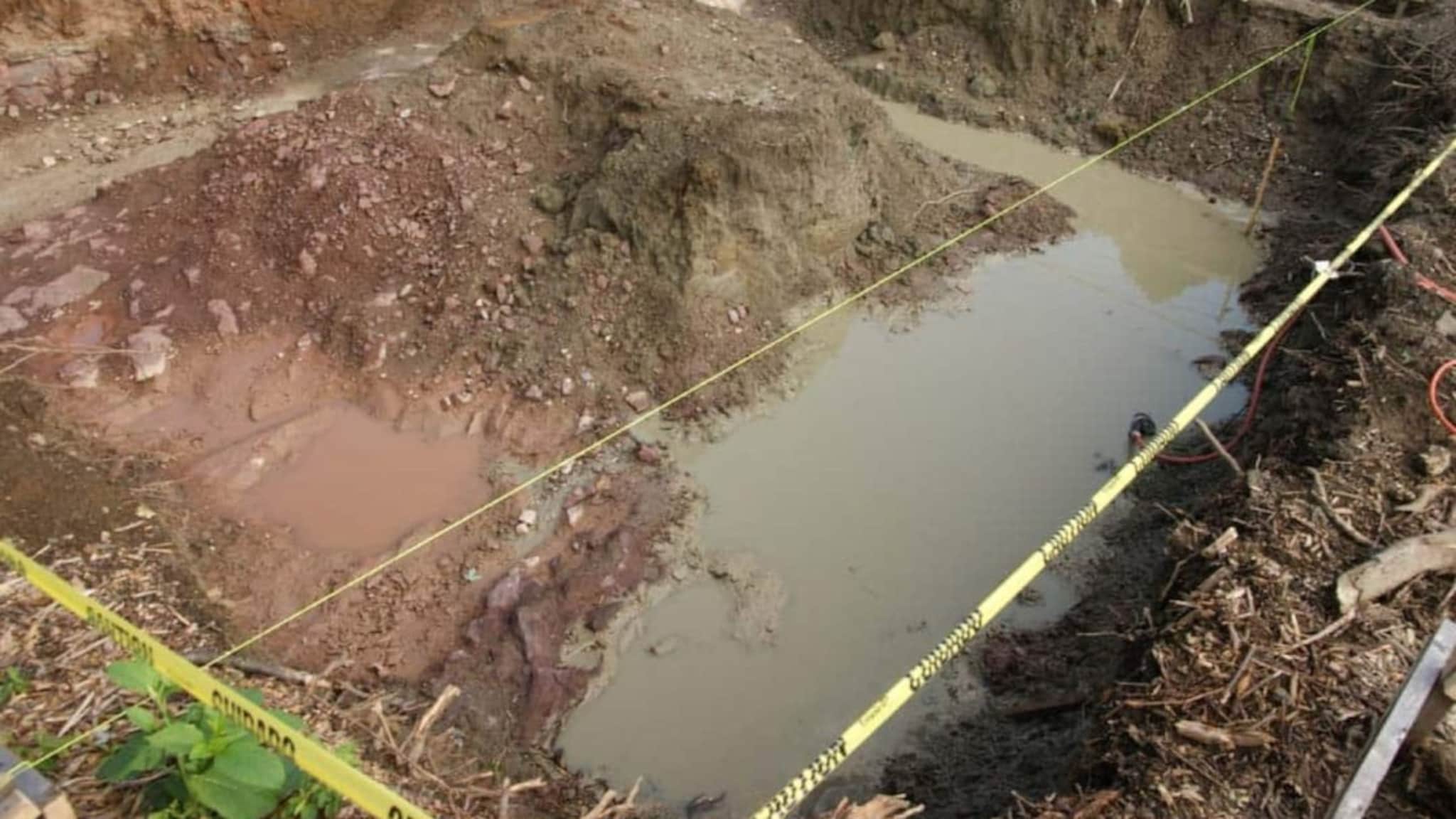 8 वर्षांचा दिव्यांश खेळता खेळता इमारतीत गेला परत आलाच नाही, मुंबईतील हृदयद्रावक घटना