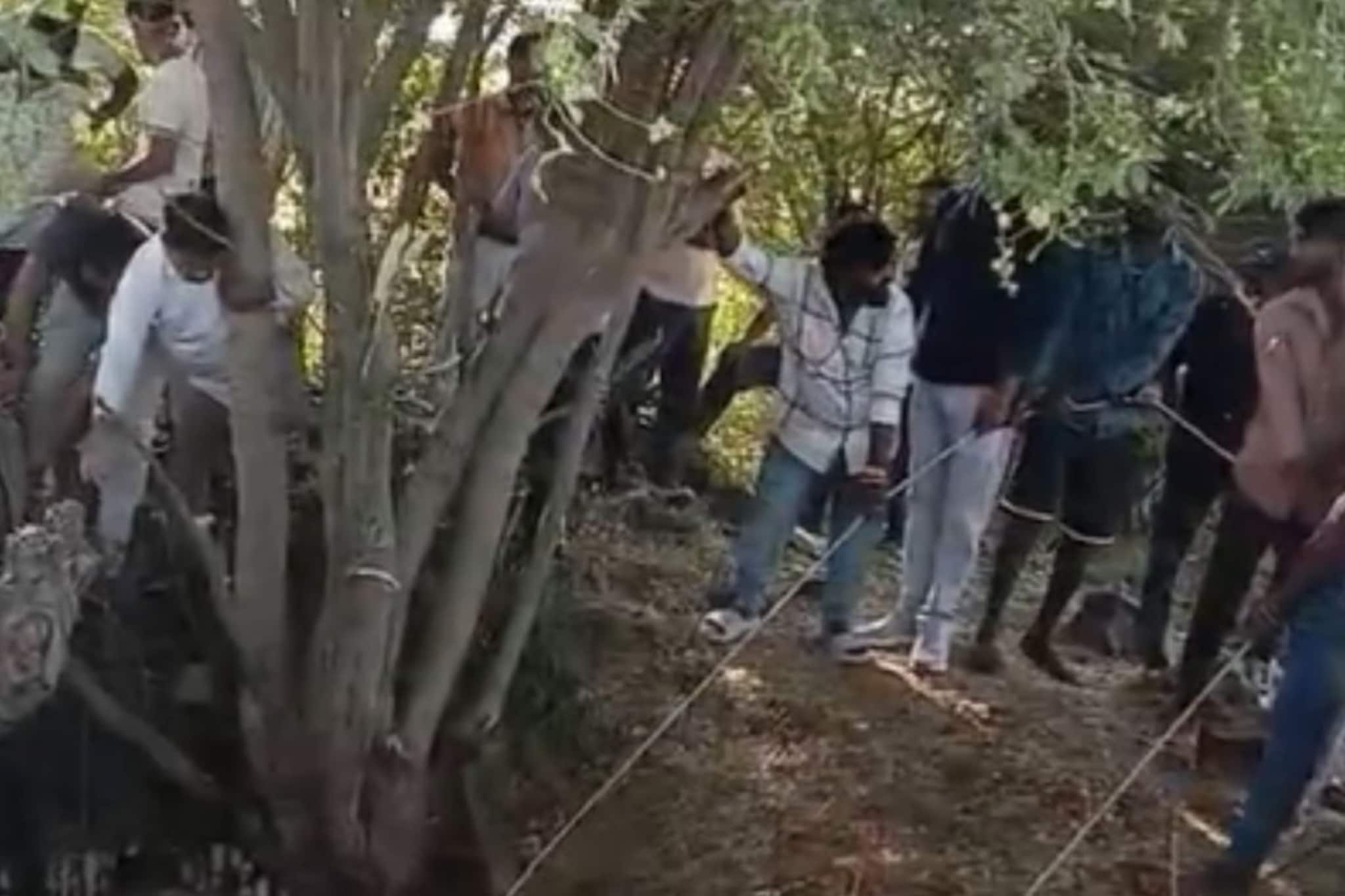 ज्याला जीव लावला त्यानेच पोत्यात भरलं अन्....नाशिकच्या नर्सची मर्डर मिस्ट्री उलगडली ज्याला जीव लावला त्यानेच पोत्यात भरलं अन्....नाशिकच्या नर्सची मर्डर मिस्ट्री उलगडली