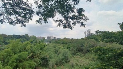 Nashik Horror: Teen Vanishes from Ashram School on Birthday, Found Hanged Days Later