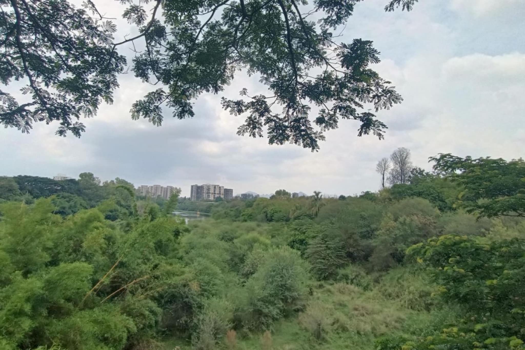 वाढदिवशीच आश्रमशाळेतून निघून गेला, दोन दिवसांनंतर समोर आला धक्कादायक प्रकार; नाशिक हादरलं वाढदिवशीच आश्रमशाळेतून निघून गेला, दोन दिवसांनंतर समोर आला धक्कादायक प्रकार; नाशिक हादरलं