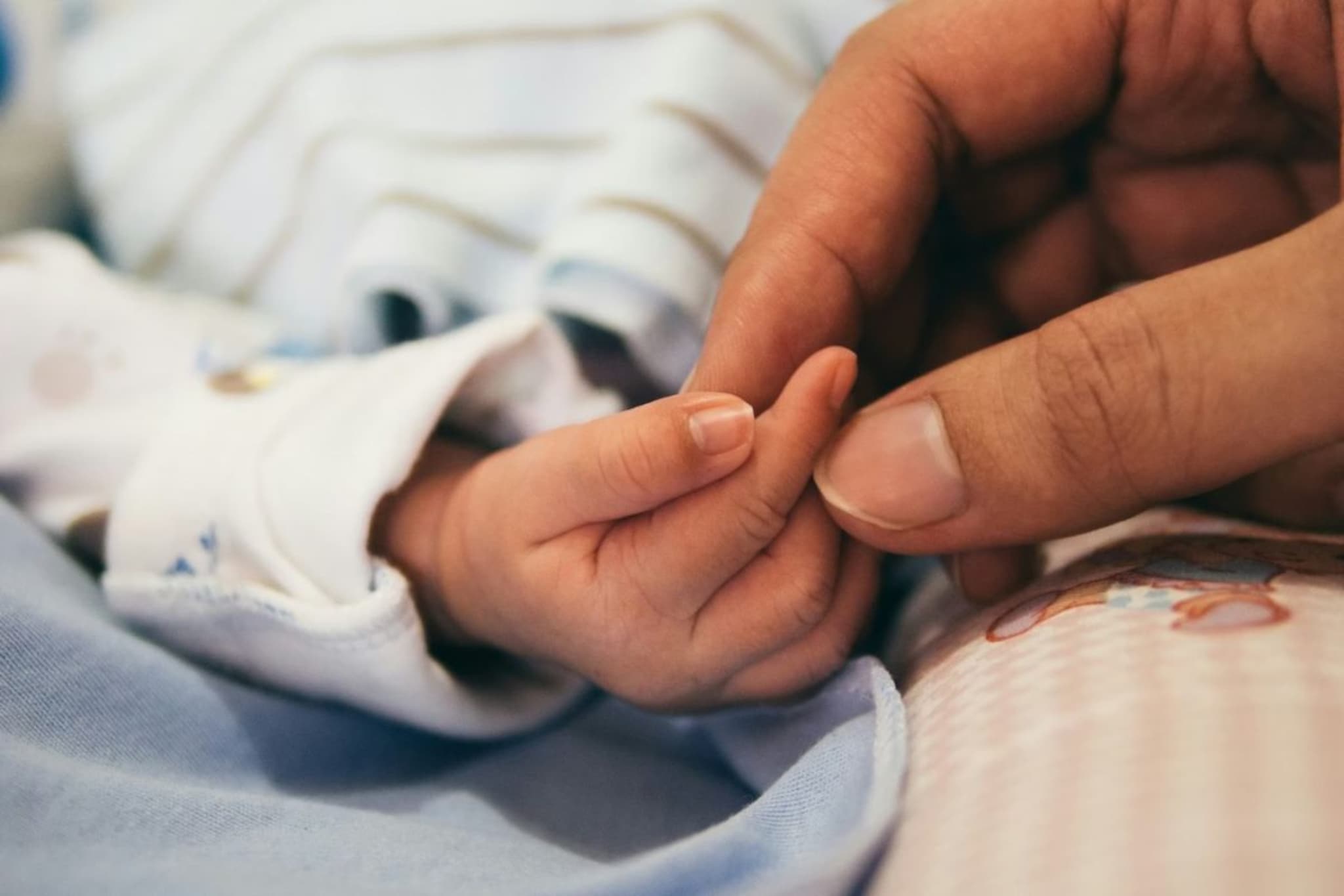 रस्त्याच्याकडेला फेकला निष्पाप जीव; नवजात अर्भकाचा मृतदेह आढळल्याने खळबळ