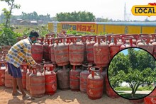 सावधान! गॅस संपला म्हणून घरासमोरचं झाड तोडताय? तर चूक महागात पडेल, सरकारचा मोठा निर्णय