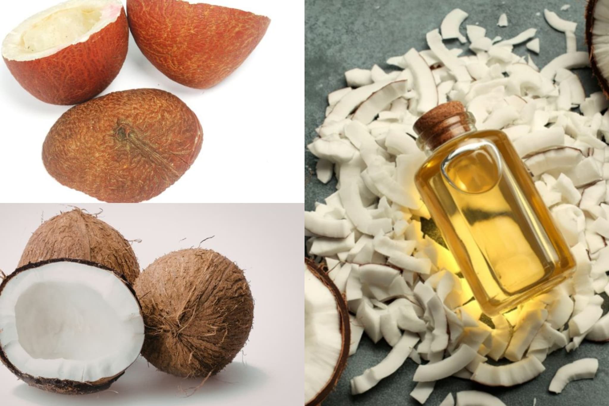 घरीच बनवा शुद्ध नारळाचं तेल! मशीनची गरज नाही, लागतील फक्त नारळ आणि थोडासा वेळ