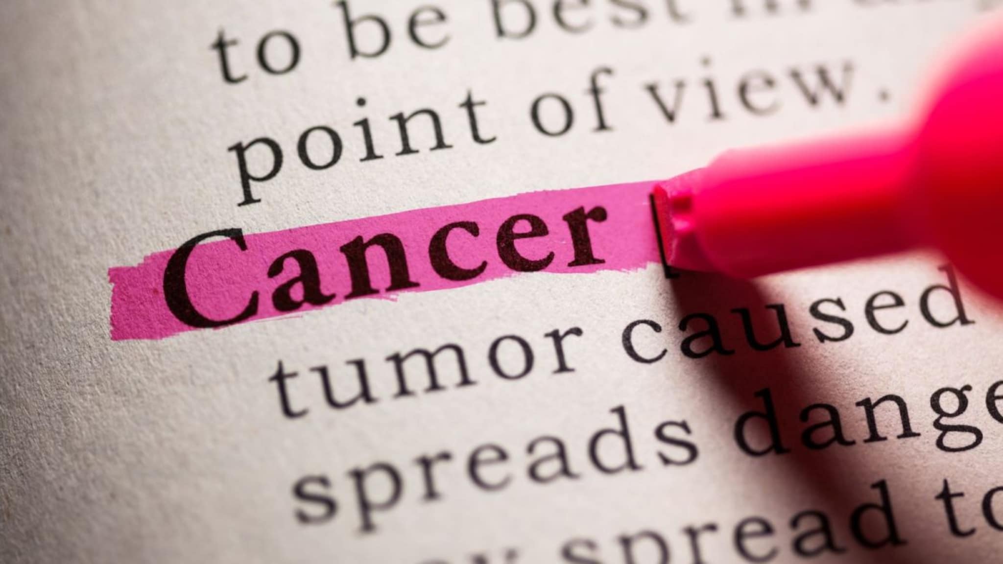 Cancer Risk : शाकाहारामुळे कर्करोगांचा धोका कमी ? जाणून घ्या शास्त्रज्ञांचं मत