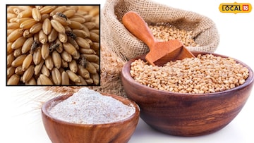 घरातील गव्हाला अजिबात लागणार नाही किडे! साठवण्यासाठी वापरा शेतकऱ्यांची ही ट्रिक