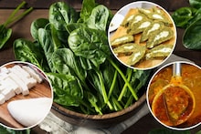 Unique Curry Recipe : पालक पनीरची अशी भाजी तुम्ही कधीच खाल्ली नसेल! दिसायला आणि चवीला आहे भन्नाट..