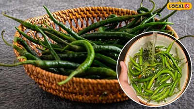 हिरवी मिरची फक्त तिखट चवीसाठीच प्रसिद्ध नाही, तर तिच्यामध्ये अनेक पोषक गुणधर्मदेखील असतात. म्हणून आपल्या आहारात थोडा का होईना मिरचीचा समावेश असावा असं वडीलधारी मंडळी म्हणतात. मिरचीमध्ये व्हिटॅमिन सी आणि अँटीऑक्सिडंट्स असतात. 