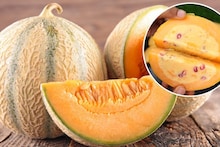 Summer Healthy Food : तुम्ही कधी खरबुज आईस्क्रीम खाल्लीय? मुलांसाठी हेल्दी आणि टेस्टी रेसिपी, नक्की ट्राय करा