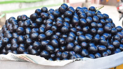 Jamun: Summer's Superfruit Offers Sweet & Sour Health Benefits