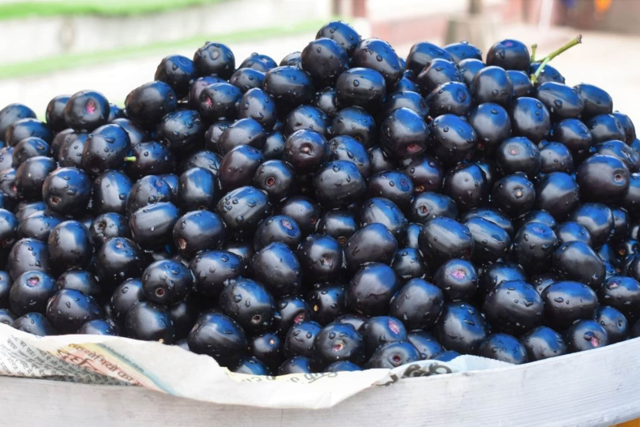 Jamun : आरोग्यासाठी उपयुक्त जांभूळ, उन्हाळ्यात स्वादिष्ट जांभळं खाण्याचे फायदे