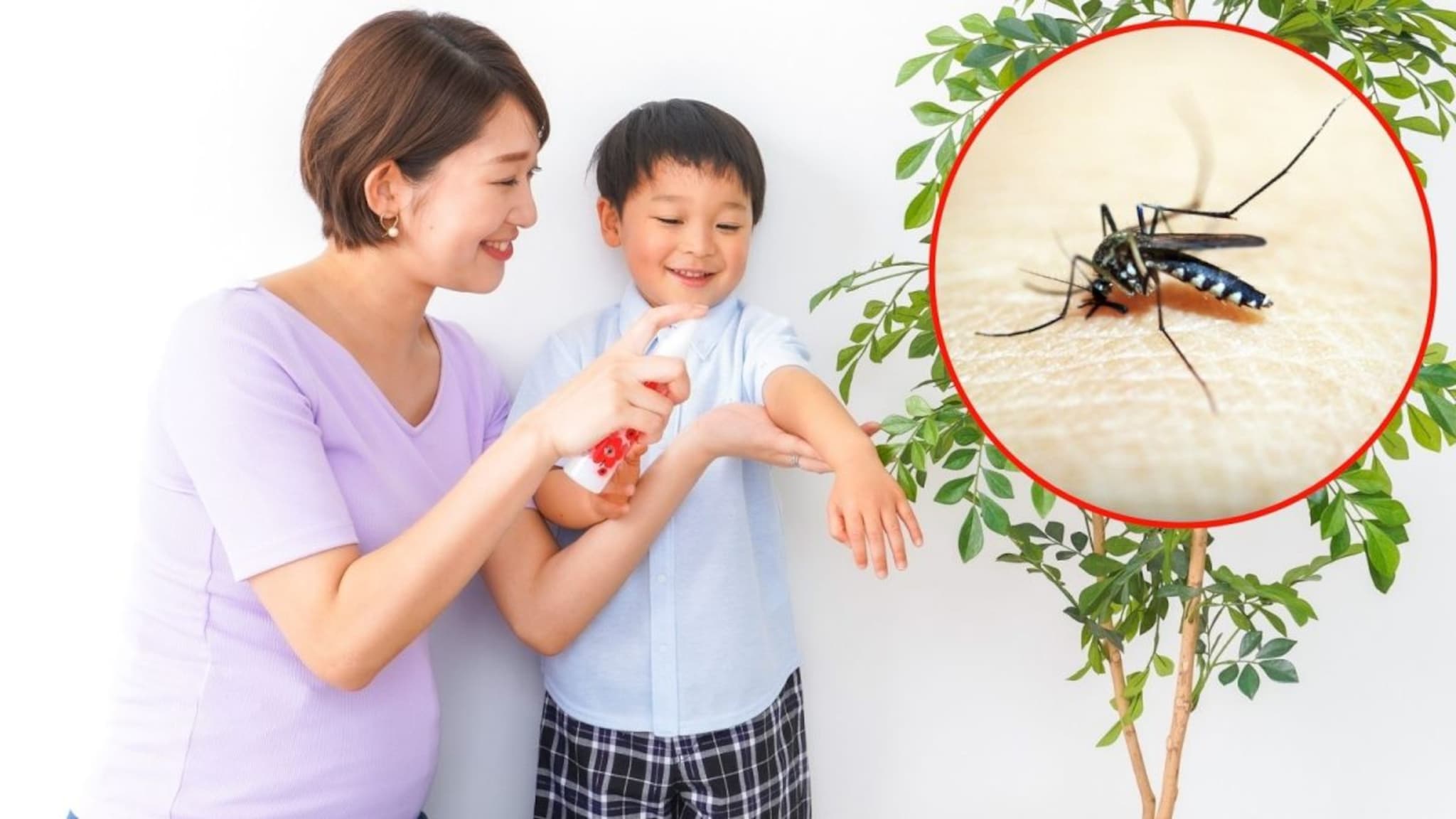 Tips And Tricks : केमिकल्स वापरणं सोडा, वापरा होममेड नॅच्युरल मॉस्क्युटो रिपेलंट! डास कायम राहतील दूर