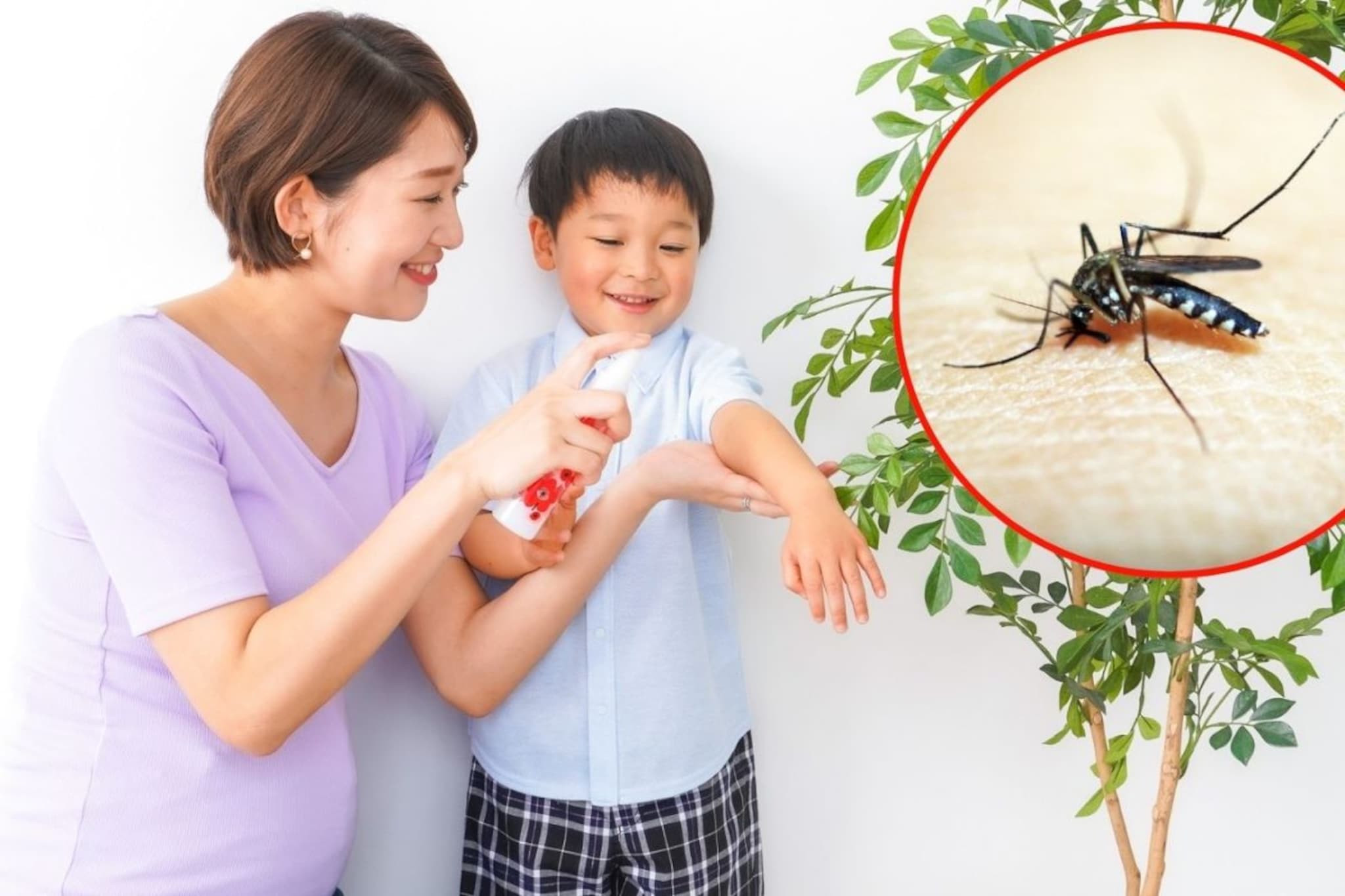 केमिकल्स वापरणं सोडा, वापरा होममेड नॅच्युरल मॉस्क्युटो रिपेलंट! डास राहतील दूर