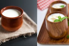 Summer Care : आला उन्हाळा, तब्येत सांभाळा, उन्हाळ्यात करा दही आणि ताकाशी दोस्ती, उन्हाळा होईल सुसह्य