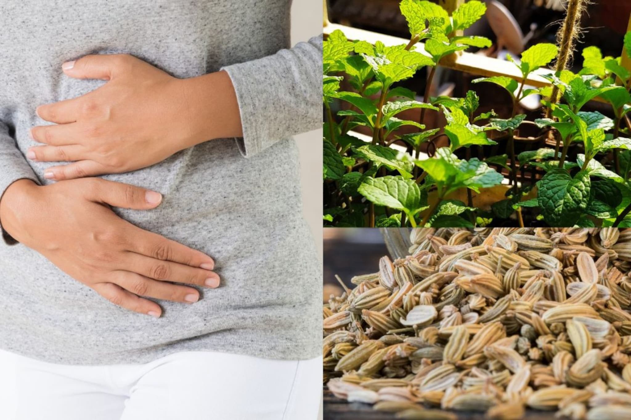 Bloating : उन्हाळ्यात पोटाच्या समस्या टाळण्यासाठी महत्त्वाचा सल्ला, घरगुती उपायांनी करा मात