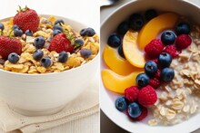 Muesli Vs Oats : म्यूसली की ओट्स, सकाळच्या नाश्त्यासाठी काय जास्त चांगलं? दिवसभर एनर्जी देईल हा पदार्थ!