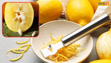 Kitchen Tips : लिंबाची साल आणि बियांचे 'हे' जबरदस्त उपयोग तुम्हाला माहितीये? वाचून हैराण व्हाल! Kitchen Tips : लिंबाची साल आणि बियांचे 'हे' जबरदस्त उपयोग तुम्हाला माहितीये? वाचून हैराण व्हाल!