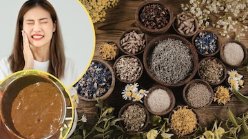 कोणतंही टूथपेस्ट वापरा, दात दुखतातच? डॉक्टरने सांगितलेलं हर्बल टूथपेस्ट बनवून एकदा ट्राय कराच कोणतंही टूथपेस्ट वापरा, दात दुखतातच? डॉक्टरने सांगितलेलं हर्बल टूथपेस्ट बनवून एकदा ट्राय कराच