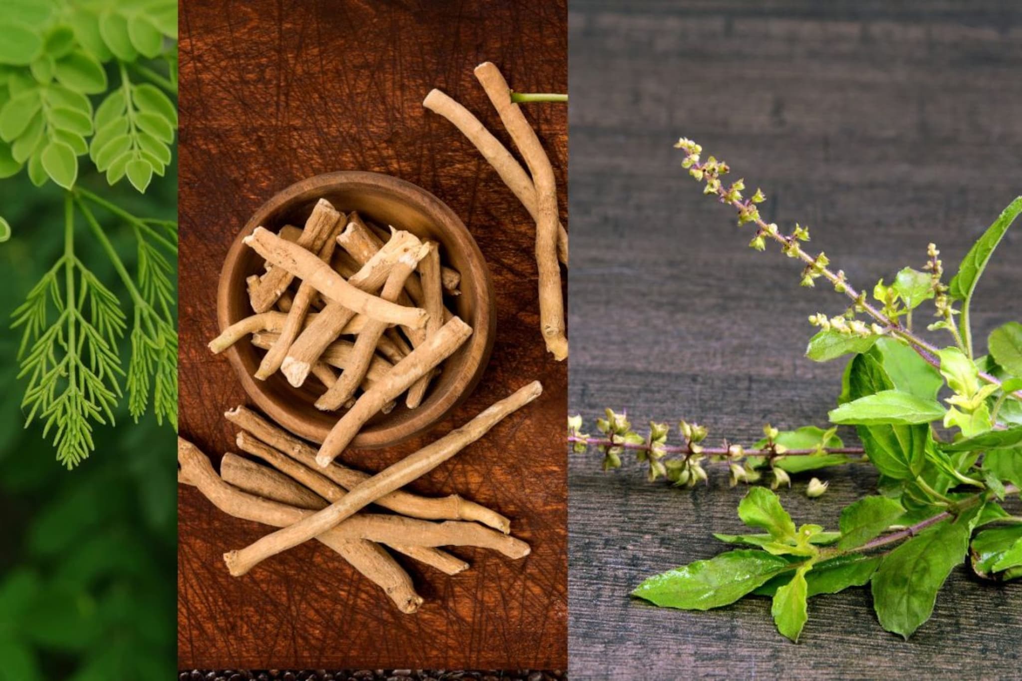 Health Tips : चांगल्या प्रकृतीसाठीची त्रिसूत्री, या तीन औषधी वनस्पतींची होईल मोठी मदत