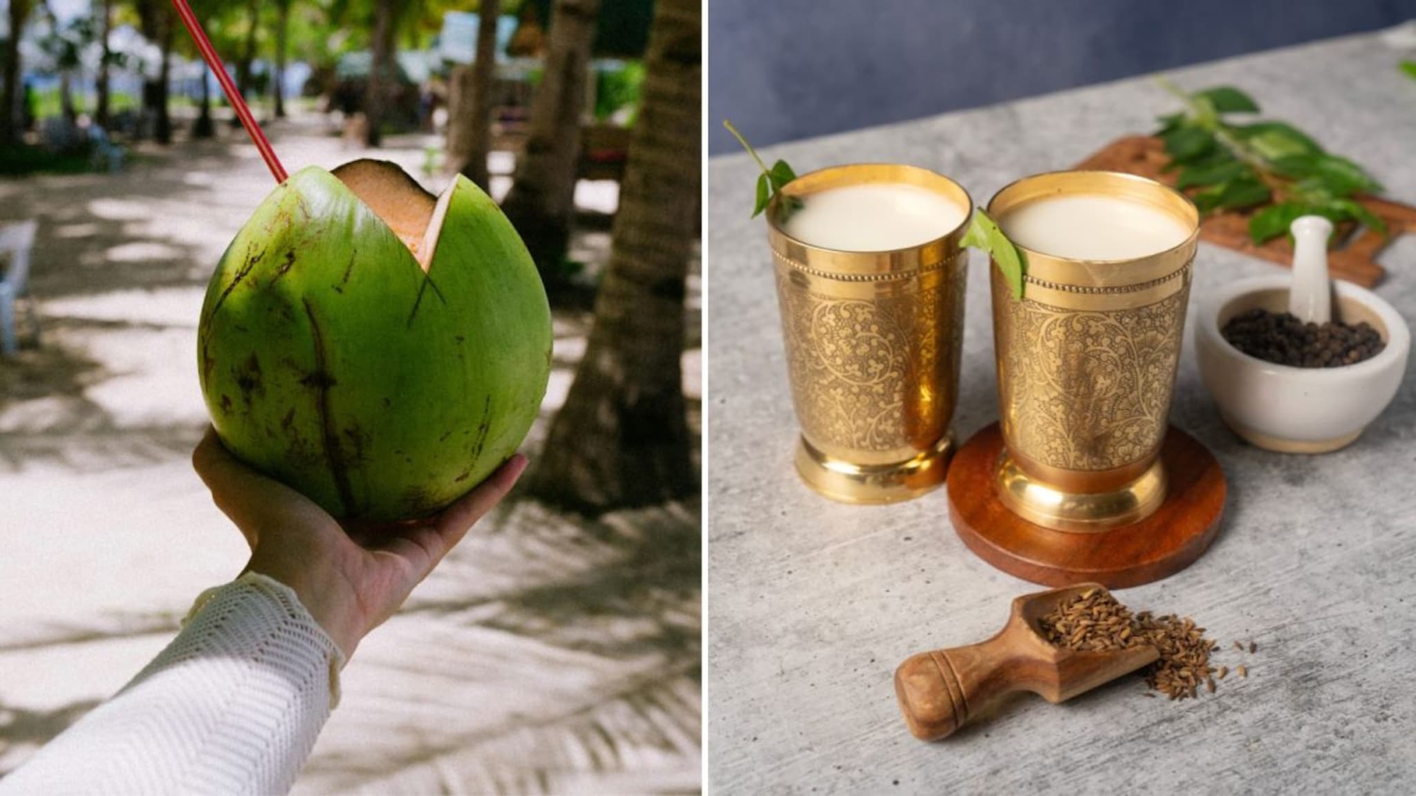 Summer Best Drink : शहाळं की ताक, उन्हाळ्यात दोन्हींपैकी कोणतं प्यावं? कोणत्या ड्रिंकने मिळेल जास्त हायड्रेशन?