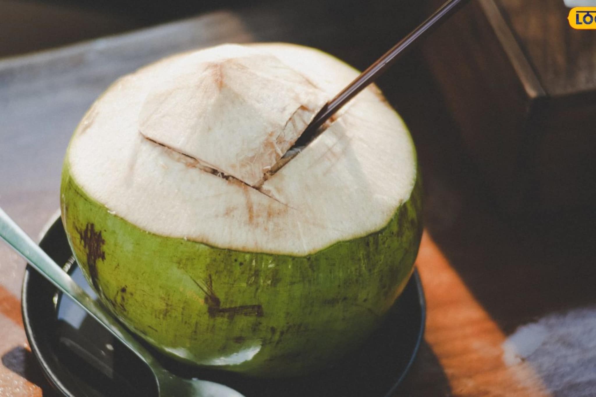 नारळपाणी कोणी पिऊ नये? उन्हाळ्यातलं हेल्दी ड्रिंक 'या' लोकांसाठी ठरू शकतं घातक!  