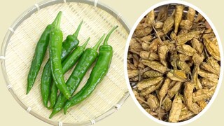 अशी बनवा सांडगी मिरची.. 