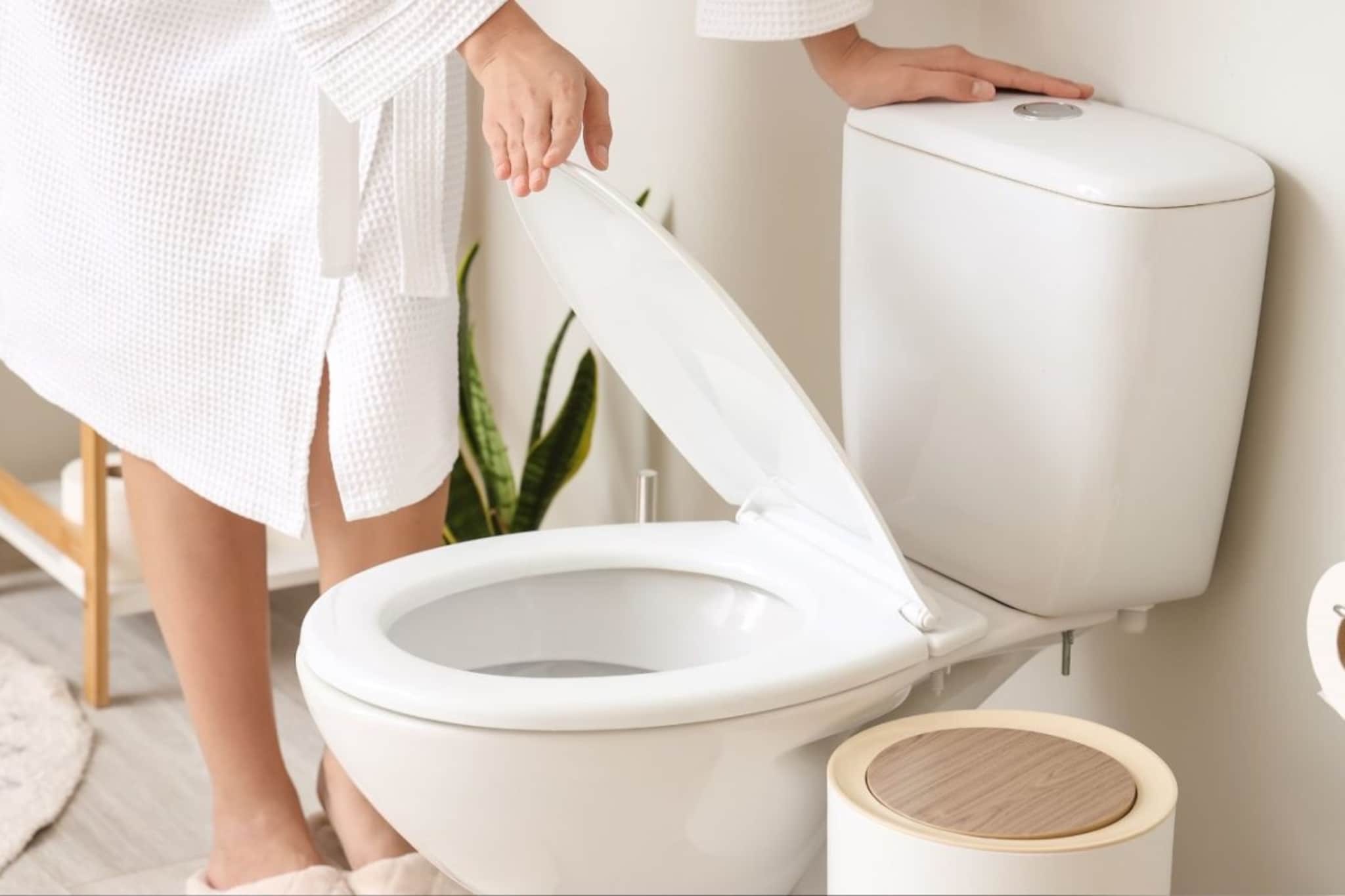 कमोड आपोआप होत राहील स्वच्छ, दुर्गंधीही येणार नाही! फक्त टॉयलेटमध्ये टाका 'ही' वस्तू.. कमोड आपोआप होत राहील स्वच्छ, दुर्गंधीही येणार नाही! फक्त टॉयलेटमध्ये टाका 'ही' वस्तू..