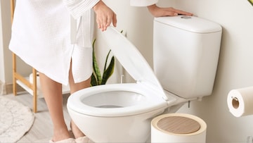 कमोड आपोआप होत राहील स्वच्छ, दुर्गंधीही येणार नाही! फक्त टॉयलेटमध्ये टाका 'ही' वस्तू.. कमोड आपोआप होत राहील स्वच्छ, दुर्गंधीही येणार नाही! फक्त टॉयलेटमध्ये टाका 'ही' वस्तू..