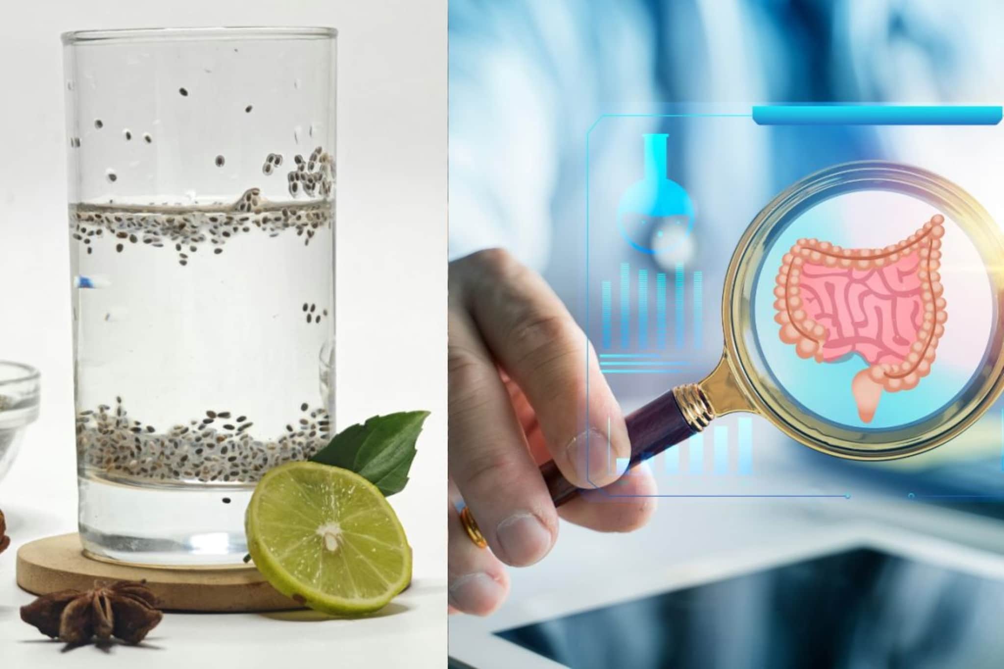 Health Tips : चिया सीड्ससोबत लिंबू पाणी पिऊन करा दिवसाची सुरुवात, आरोग्याच्या अनेक तक्रारींवर गुणकारी