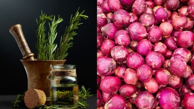 केसांच्या उत्तम आरोग्यासाठी रोजमेरी की कांद्याचे तेल: कोणते आहे सर्वोत्तम?