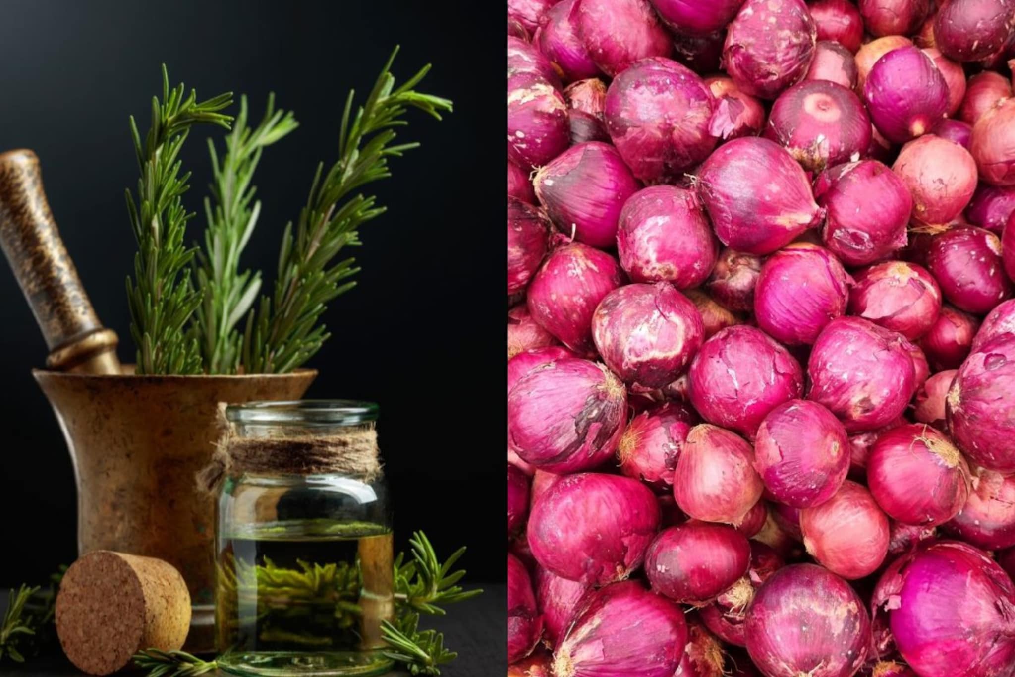 Hair Care : रोजमेरी, कांद्याच्या तेलानं सुधारेल केसांचा पोत, जाणून घ्या कसा करायचा वापर 