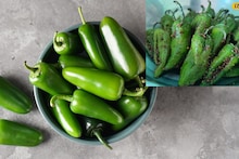 Pickle Recipe : ट्राय करा पारंपरिक पद्धतीचं भरलेल्या मिरचीचं लोणचं, वाढवेल जेवणाची चव! पाहा सोपी रेसिपी