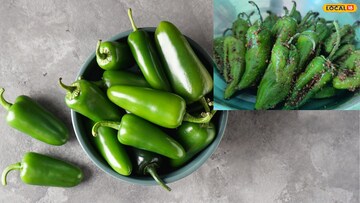 ट्राय करा पारंपरिक पद्धतीचं भरलेल्या मिरचीचं लोणचं, वाढवेल जेवणाची चव! पाहा सोपी रेसिपी 