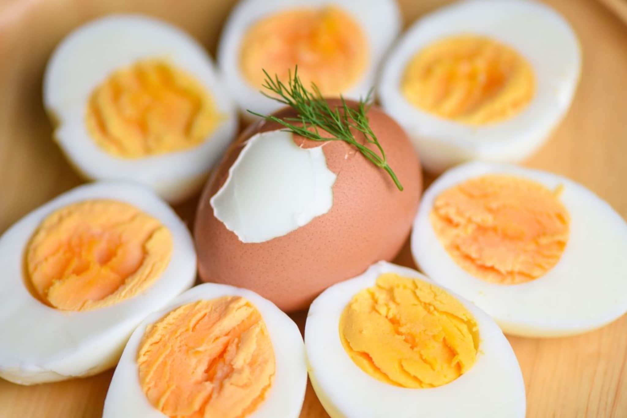 उकडलेली अंडी किती दिवस चांगली राहतात? खराब झाल्याची 'ही' चिन्हं त्वरित ओळखा.. 