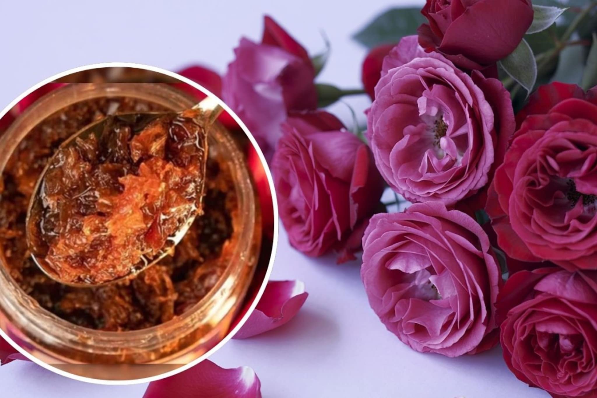 रोज एक चमचा गुलकंद खा, पोटाच्या 'या' समस्या होतील छूमंतर! फायदे वाचून चक्रावून जाल रोज एक चमचा गुलकंद खा, पोटाच्या 'या' समस्या होतील छूमंतर! फायदे वाचून चक्रावून जाल