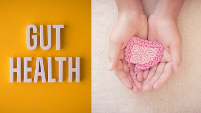 आतड्यांचे आरोग्य: शरीराचे संकेत ओळखा, पोटदुखी आणि अपचनाच्या समस्यांवर नियंत्रण मिळवा.